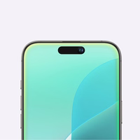 AmazingThing Radix Matinis temperuotas stiklas telefonui iPhone 16