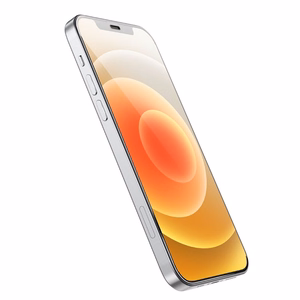 Закалённое стекло для iPhone 12 PRO MAX Hoco HD Anti-static 25 шт G10