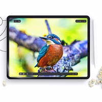 Apsauginė plėvelė HOFI PAPER PRO+ 2-PACK IPAD AIR 10.9 4 / 5 / 2020-2022 / PRO 11 2 / 3 / 4 / 2020-2022 MATINIS SKAIDRUS