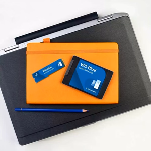 WD Blue SA510 SATA SSD 7 mm/2,5 colių korpuse 500 GB (WDS500G5B0A-00LMP0)