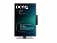 BENQ RD240Q 24.1 col. IPS WQXGA monitorius
