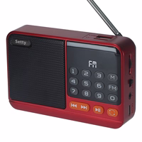 Setty mini FM radio + Bluetooth garsiakalbis SFM-01M