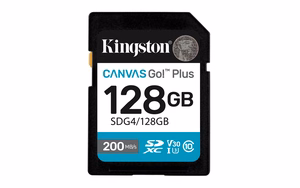 Kingston Technology Canvas Go! Plus 128 GB SDXC UHS-I Klasės 10
