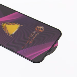 Apsauginis stiklas OG Premium iPhone XR / 11 10in1 G14