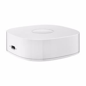 Išmanusis namas WS2GW-R WiFi