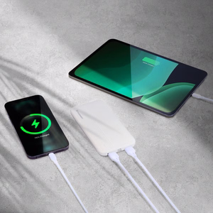 Išorinė baterija Wozinsky Li-Po 10000mAh 2x USB balta (WPBWE1)