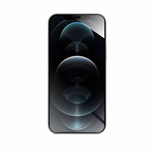 Apsauginis stiklas Forcell Flexible Nano Glass 5D for iPhone Xs Max/11 Pro Max - juodas (m)