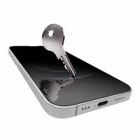 Puro privatumo apsauginis stiklas iPhone 16E