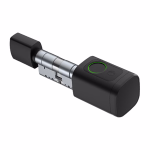 Avatto SDL-V1-B60 60mm sidabrinis skaitmeninis spyną cilindras