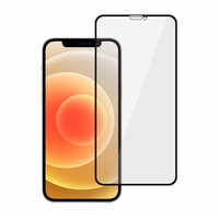 Privatumo apsauginis stiklas Tel Protect 10X Privacy Titanium skirtas Iphone 12/12 Pro