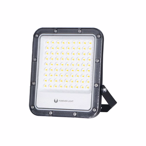 Floodlight LED PROXIM+ 50W 6500K 7500lm 230V IP65 Forever Light 150lm/W 5 years warranty