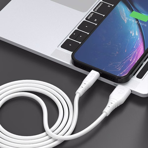 Dudao kabelis USB - USB Type C 6A kabelis 1 m baltas (TGL3T)