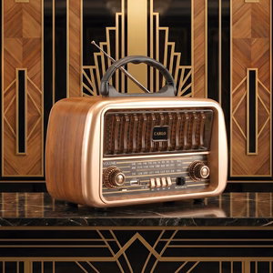 Forever Electro FM Radio CARLO JB-105 BT USB 1200mAh