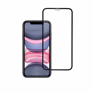 Закалённое стекло для iPhone XR / 11 (full glue) Blue Star 5D чёрное