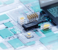 Kingston Technology XS1000 1 TB C tipo USB 3.2 Gen 2 (3.1 Gen 2) Juoda