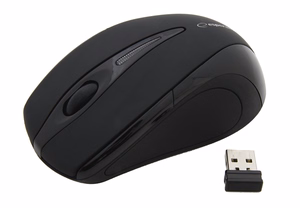 Esperanza EM101K mouse Ambidextrous RF Wireless Optical 1000 DPI