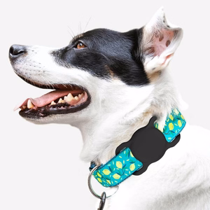 Wozinsky WEA-01 Apple AirTag Silicone Case for Dog or Cat Collar - Black