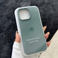 Dėklas "Silicone Plastic Pack" skirtas Apple iPhone 12 Pro Max kaktusinis (su įpakavimu)