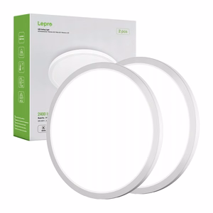 Smart Ceiling Lights