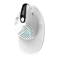 Delux M618XSD Wireless Vertical Mouse