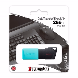 Kingston atmintukas DataTraveler Exodia M DTXM 256GB žalias