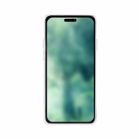 XQISIT NP FLEX DĖKLAS ANTI BAC MAGSAFE, RECYCLED SKIRTAS IPHONE 15 PRO MAX SKAIDRUS