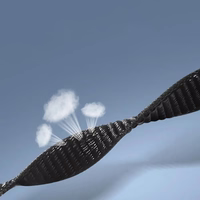 TECH-PROTECT NYLON XIAOMI SMART BAND 8 / 9 / NFC JUODAS