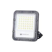 Floodlight LED PROXIM+ 30W 6500K 4500lm 230V IP65 Forever Light 150lm/W 5 years warranty