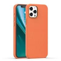 Etteri Elegant Mag dėklas for iPhone 12 / 12 Pro 6,1'' oranžinis