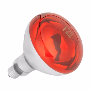Rebel R125 infraraudonųjų spindulių lempa, 100 W, 220–240 V