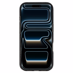 Blizgantis magnetinis dėklas telefonui Iphone 17 Pro, juodas, permatomas