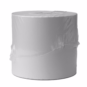 Termo lipdukų etiketės 100x150mm (500 vnt.)