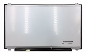 Ekranas 17.3", 1920x1080, 60Hz, matinis, 30pin, kairėje, IPS