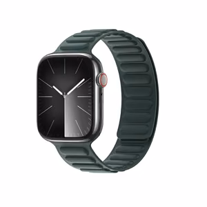 Magnetinis Dux Ducis Strap BL Apple Watch 38 / 40 / 41 mm - žalias