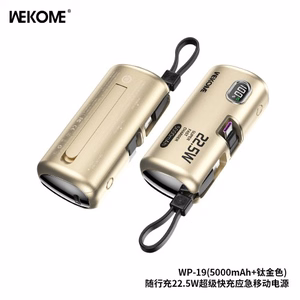 Išorinė baterija WK Design „WP-19“ titano 5000mAh (22.5W)