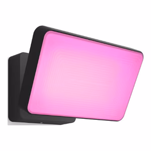 Philips Hue WCA Discover Outdoor Floodlight 2000-6500 Hue White Colour Ambiance