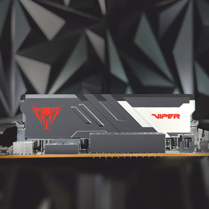 Patriot Memory Viper Venom PVV516G60C30 atminties modulis 16 GB 1 x 16 GB DDR5 6000 MHz ECC