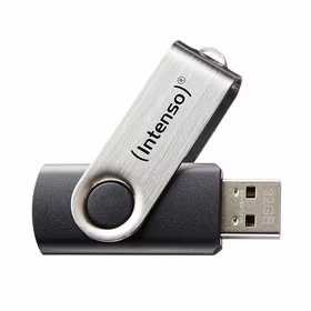 USB atmintinė USB2 8GB Intenso