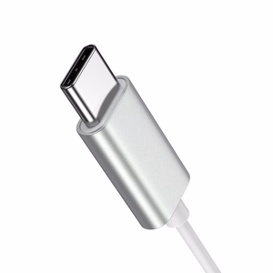 Ausinės Joyroom JR-EC06 Type-C sidabrinės