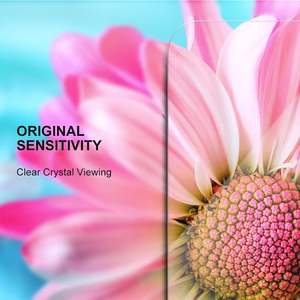 Apsauginis stiklas 2,5D Premium Samsung Galaxy A56 5G