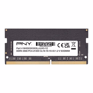 PNY MN8GSD42666 atminties modulis 8 GB 1 x 8 GB DDR4 260 kontaktų SO-DIMM