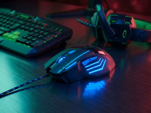 Esperanza EGM201B pelė USB Type-A optinė 2400 DPI dešinei rankai