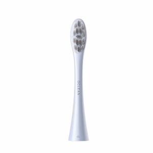 Oclean Professional Clean šepetėlių galvutės 2 vnt. P1C9, sidabrinės