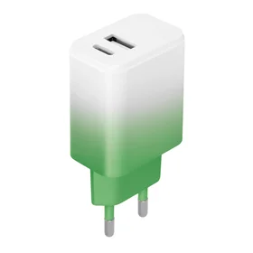 Setty įkroviklis USB + USB-C 20W LSIG-AC-20 mėtų-baltas gradientas