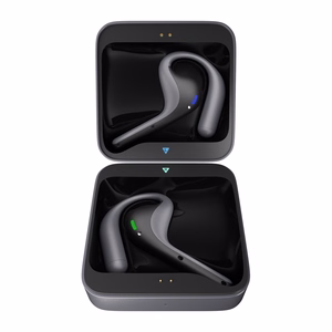 TIMEKETTLE W4 Pro vertimo ausinės