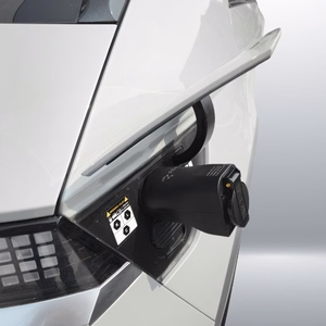 Adapter Reach Type2 V2L