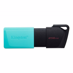 Kingston atmintukas DataTraveler Exodia M DTXM 256GB žalias