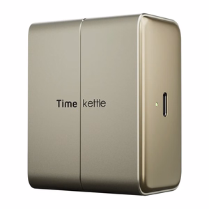 TimeKettle W4 Plus TWS vertimo ausinės, auksinės