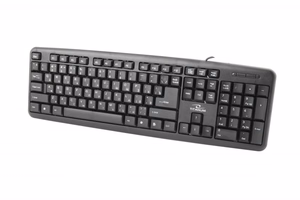 Esperanza TKR101 biuro klaviatūra USB QWERTY anglų, rusų juoda