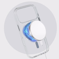 Liavec Pure dėklas skirtas Iphone 17 Pro titano